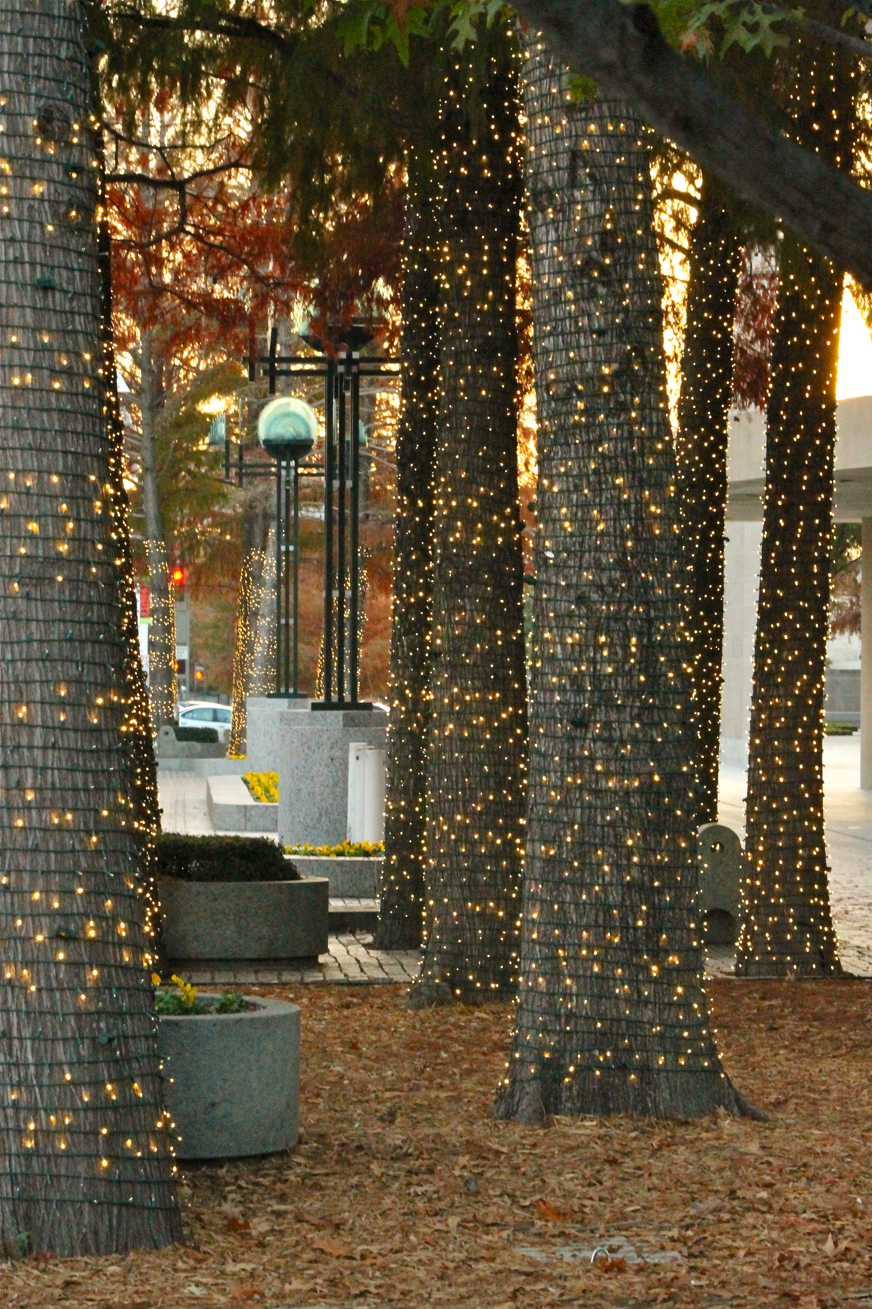 Courtesy of The Dallas Arts District