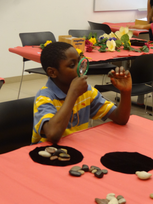 Using science to take a closer look at nature