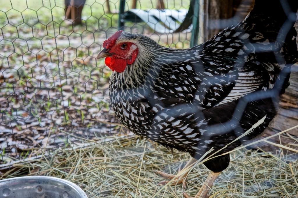 ???????????????????????????????