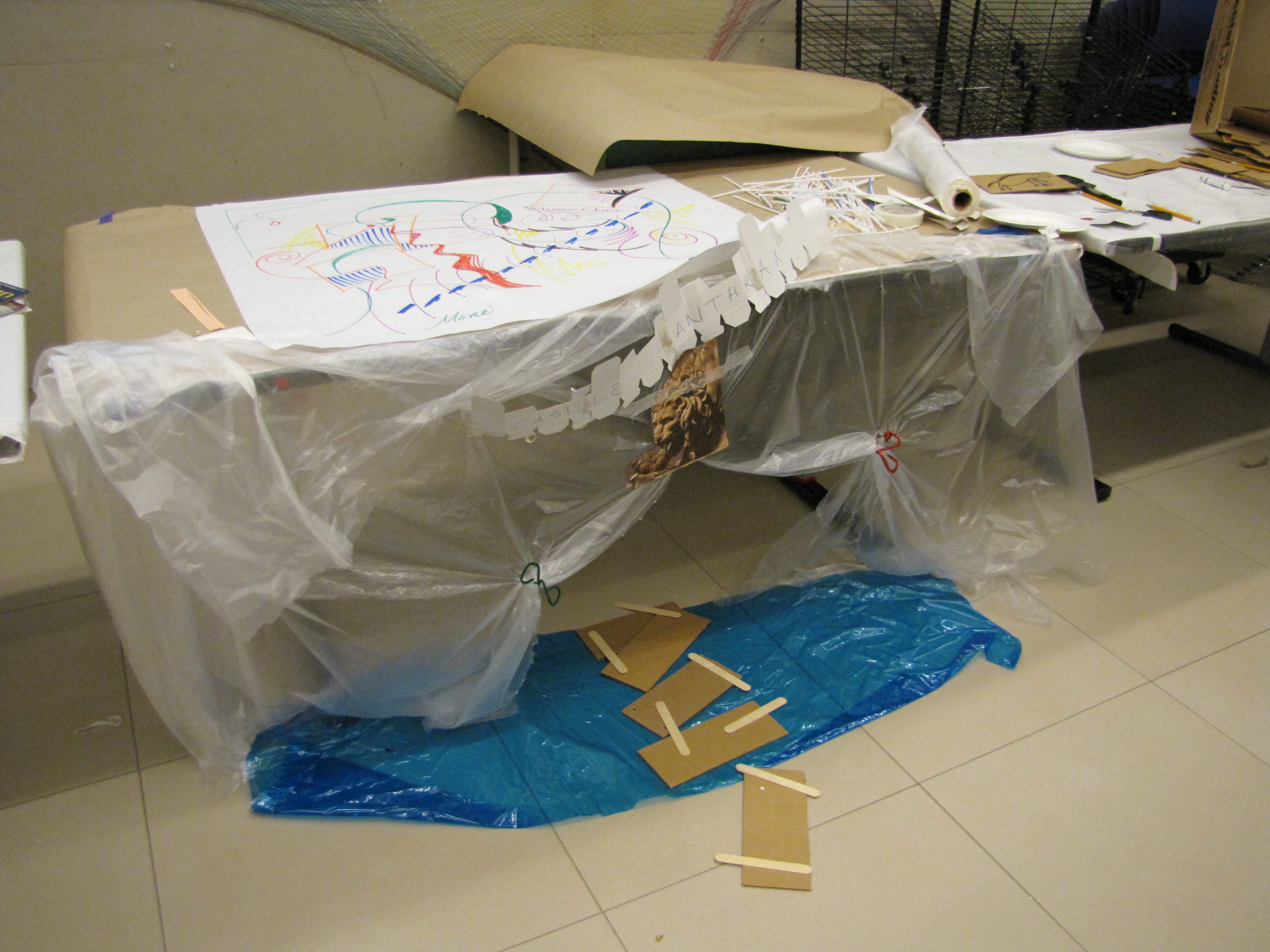 Task: Build a fort for a cat