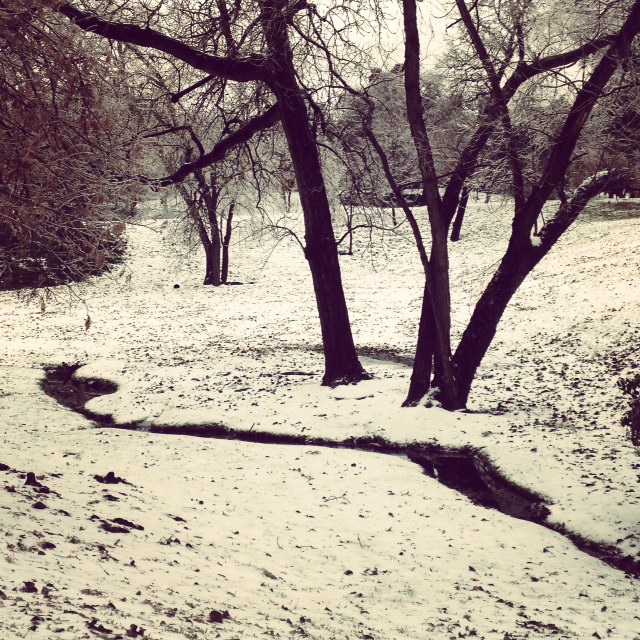 Amy Elms Icemageddon