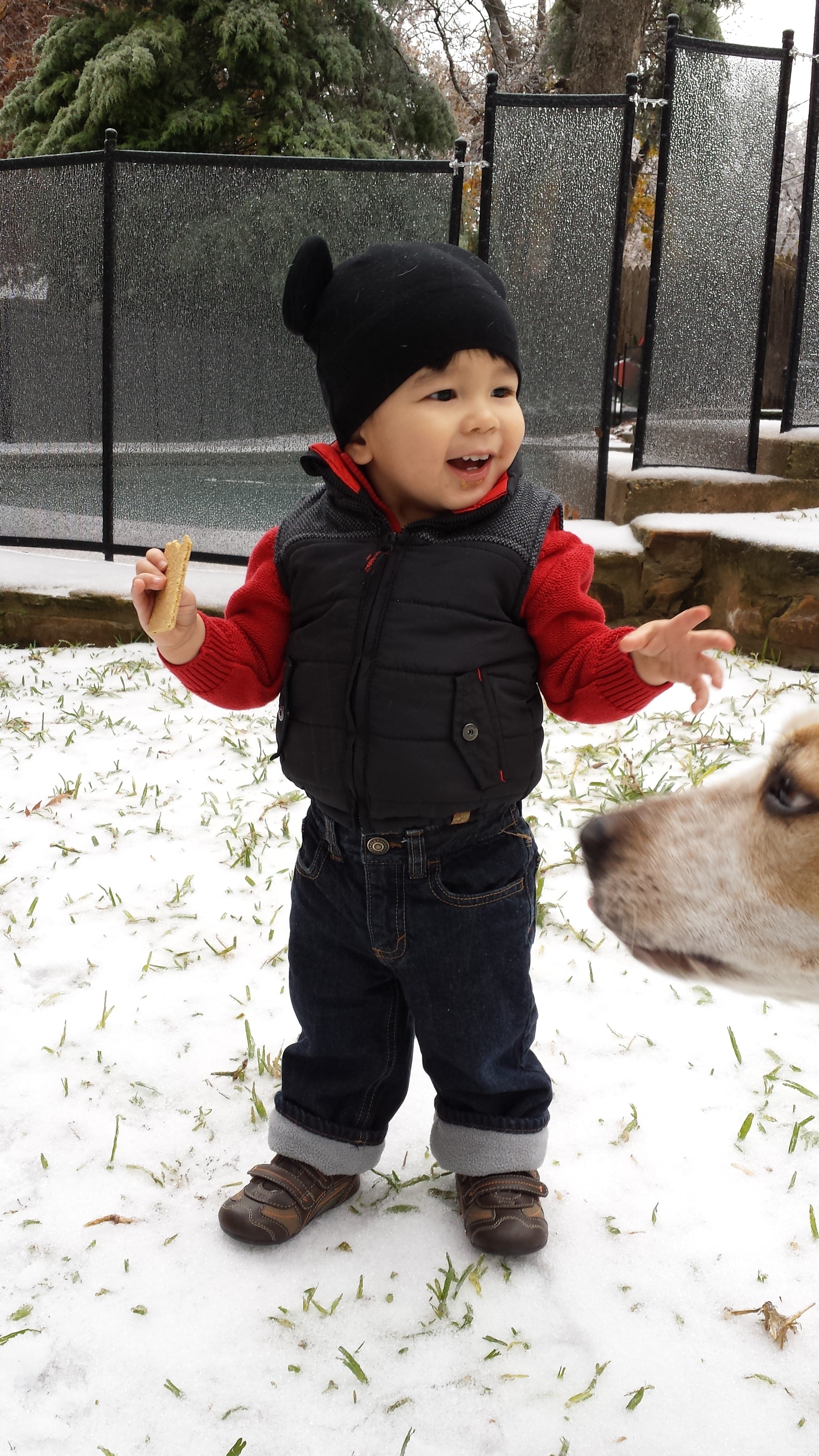 eli snow 2013