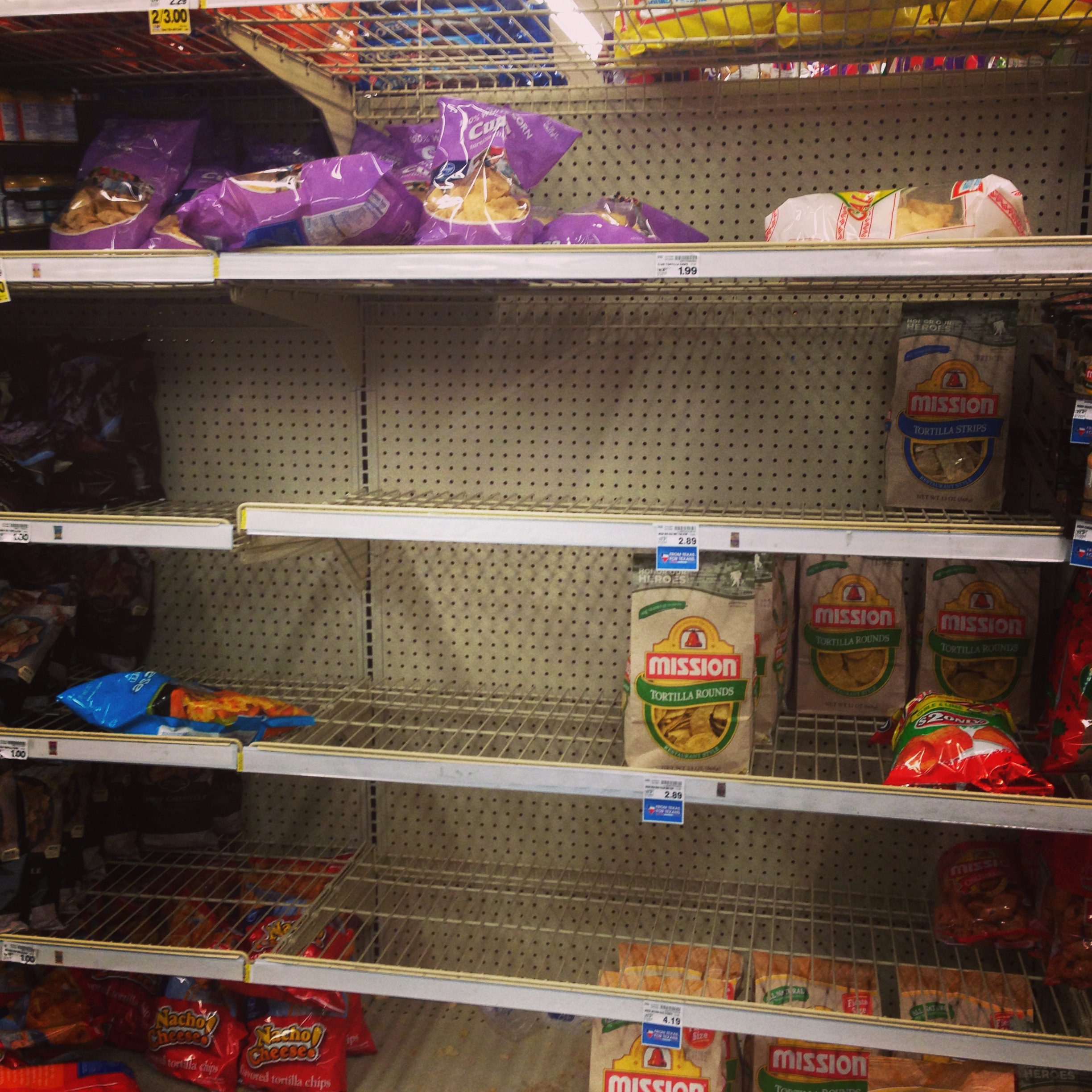 Madeleine Fitzgerald Icemageddon