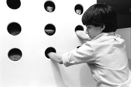 Child exploring texture through sample materials in the Gateway Gallery, 1984