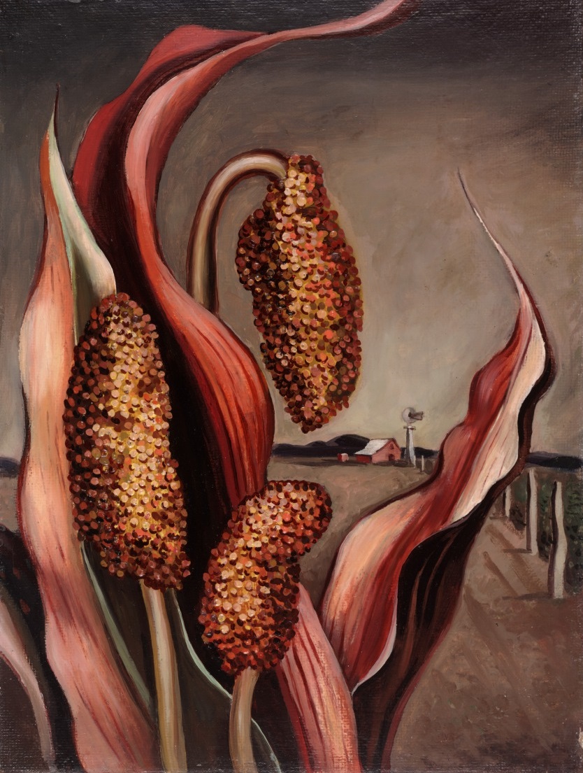 Otis Dozier, Maize and Windmill, 1937, oil on Masonite, Dallas Museum of Art, The Barrett Collection, Dallas, Texas, ©Denni Davis Washburn, William Robert Miegel Jr, and Elizabeth Marie Miegel, 2007.15.20
