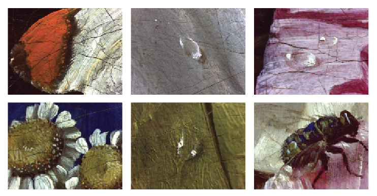 Flowers in a Vase with Two Doves (detail), François Lepage, 1816–20, oli on canvas, Dallas Museum of Art, Munger Fund, 2016.23.M 