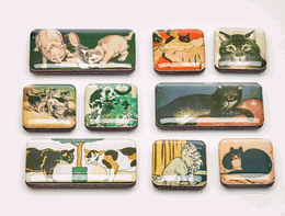 cat-magnets-5