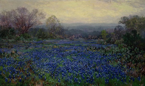 Field of Bluebonnets